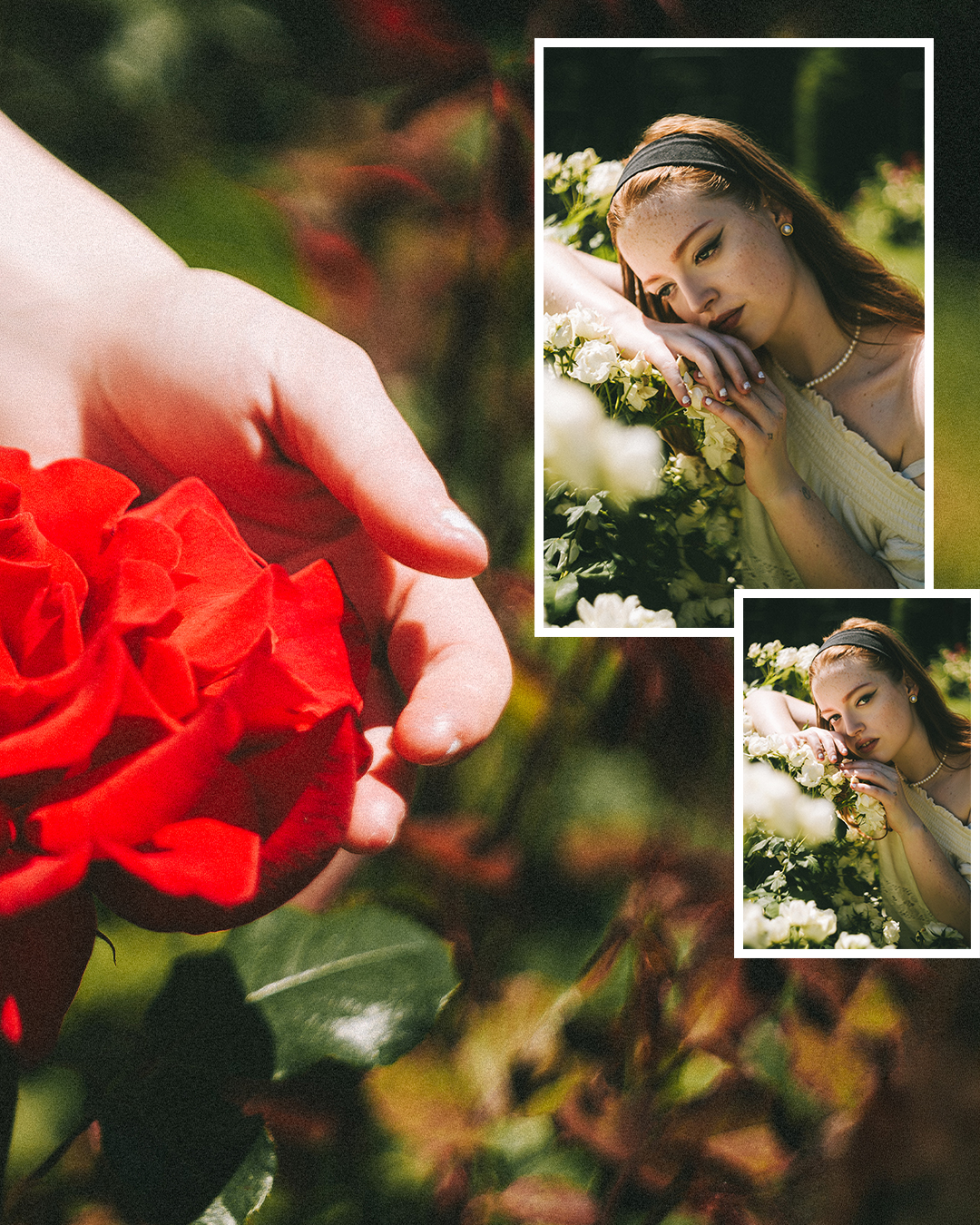 Creative Editorial Portraits at a Rose Garden in Portland — photograph 19 of 20